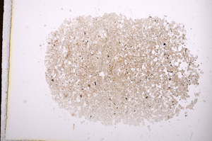 Plane Polarized, E4059