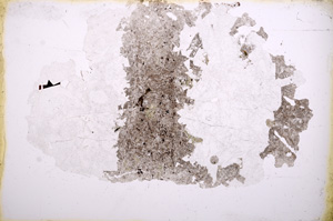 Plane Polarized, E4069