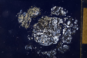 Cross Polarized, E4071