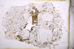Plane Polarized, E4072