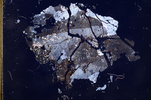 Cross Polarized, E4079