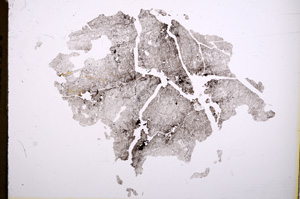 Plane Polarized, E4079