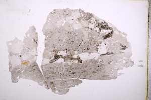 Plane Polarized, E4081