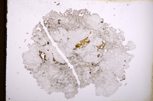 Plane Polarized, E4085