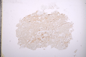 Plane Polarized, E4094