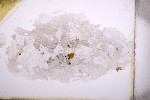Plane Polarized, E4097
