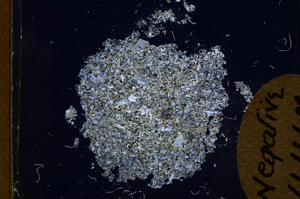 Cross Polarized, E4124