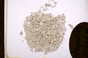 Plane Polarized, E4124