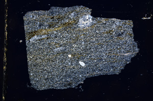 Cross Polarized, E4125