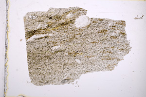 Plane Polarized, E4125