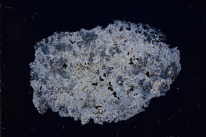 Cross Polarized, E4132