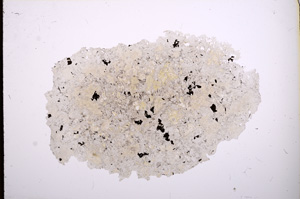 Plane Polarized, E4132