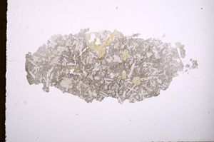 Plane Polarized, E4139