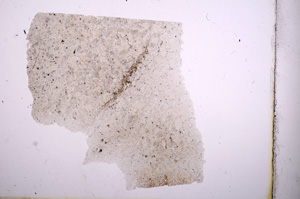 Plane Polarized, E4142
