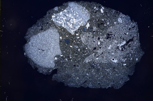 Cross Polarized, E4151