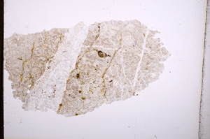 Plane Polarized, E4154