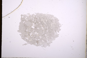 Plane Polarized, E4155