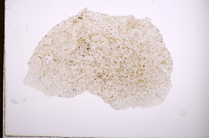 Plane Polarized, E4158