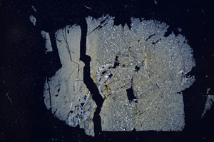 Cross Polarized, E4161