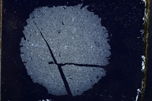 Cross Polarized, E4164