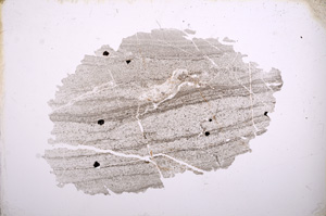 Plane Polarized, E4165