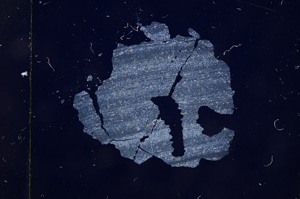 Cross Polarized, E4166