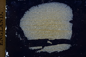 Cross Polarized, E4168