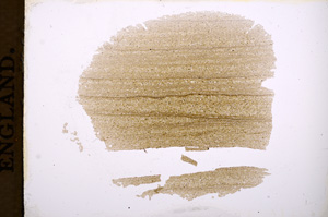 Plane Polarized, E4168