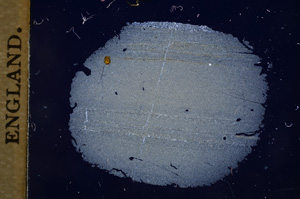 Cross Polarized, E4169