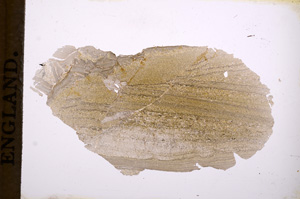 Plane Polarized, E4170