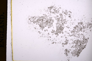 Plane Polarized, E4173