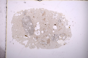 Plane Polarized, E4188