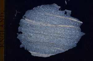 Cross Polarized, E4193
