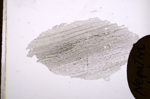Plane Polarized, E4194