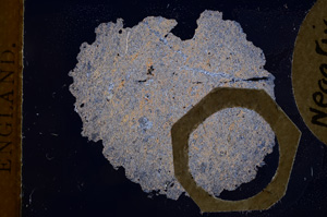 Cross Polarized, E4200