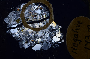 Cross Polarized, E4212