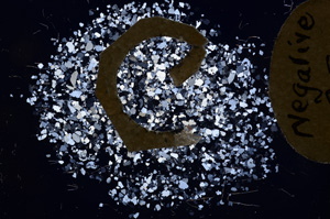 Cross Polarized, E4224