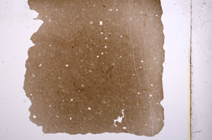 Plane Polarized, E4237
