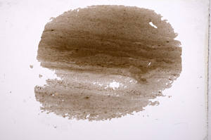 Plane Polarized, E4248