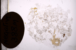 Plane Polarized, E4283