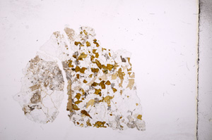 Plane Polarized, E4290