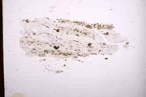 Plane Polarized, E4296