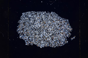 Cross Polarized, E4299