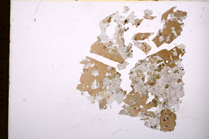 Plane Polarized, E4357