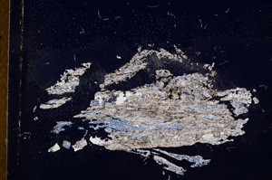 Cross Polarized, E4369