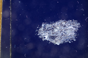 Cross Polarized, E4371