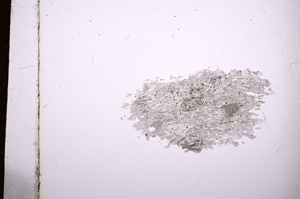 Plane Polarized, E4371