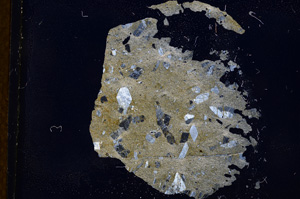 Cross Polarized, E4372