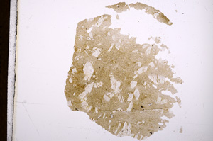 Plane Polarized, E4372