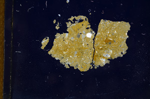 Cross Polarized, E4373